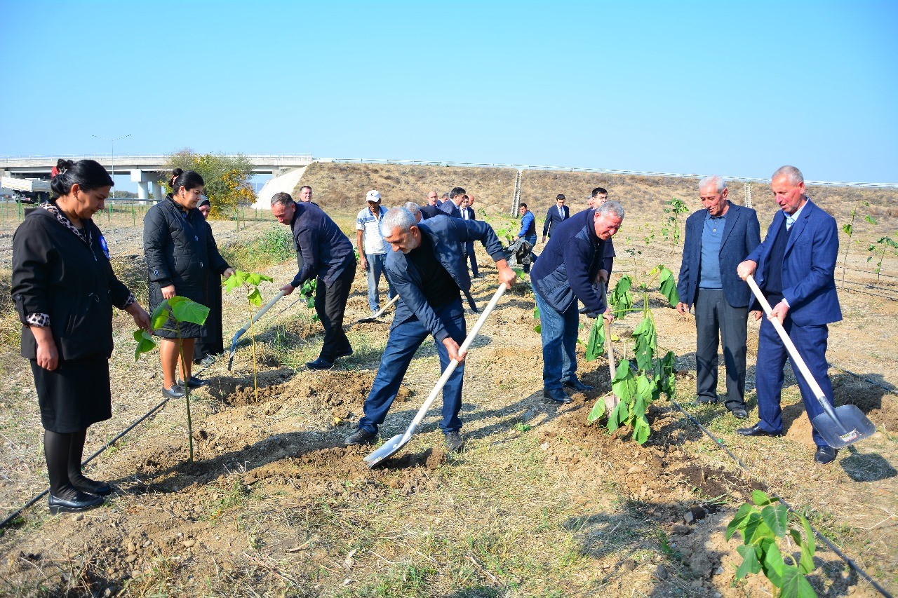 Ağstafada Zəfər Günü münasibəti ilə silsilə tədbirlər davam etdirilir - FOTOLAR